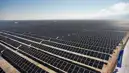 Kurak Bölgelerde GES'ler Bitki Örtüsünü Canlandırıyor