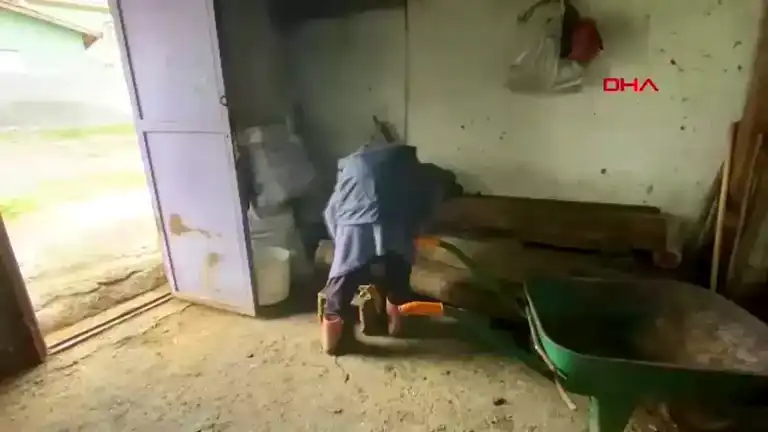 80 Yaşındaki Hayvancı Kadına Bakan'dan Destek